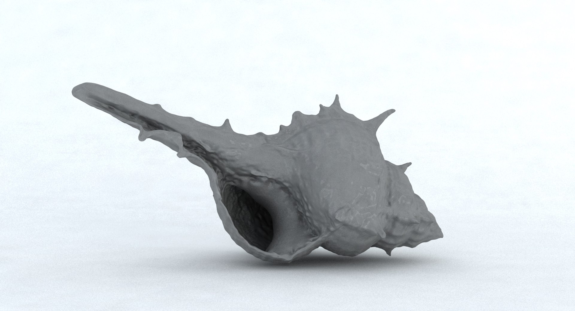 seashell sea shell max https://p.turbosquid.com/ts-thumb/VM/EYVv72/433eZYFZ/dp/jpg/1452123397/1920x1080/fit_q87/ca3184bbffe21b4125a6bd56576398b586409631/dp.jpg