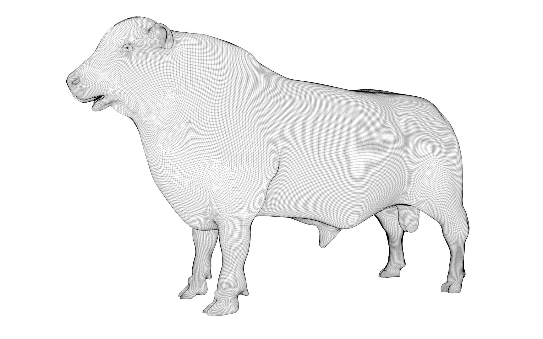 RED ANGUS Rigged L2083 3D model https://p.turbosquid.com/ts-thumb/VM/GgruDN/3Z/z01_0000/jpg/1700607843/1920x1080/fit_q87/acb6ecc9f363bb9cdab41741bb1f702ddfd29c6e/z01_0000.jpg
