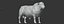 RED ANGUS Rigged L2083