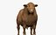 RED ANGUS Rigged L2083