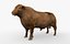 RED ANGUS Rigged L2083