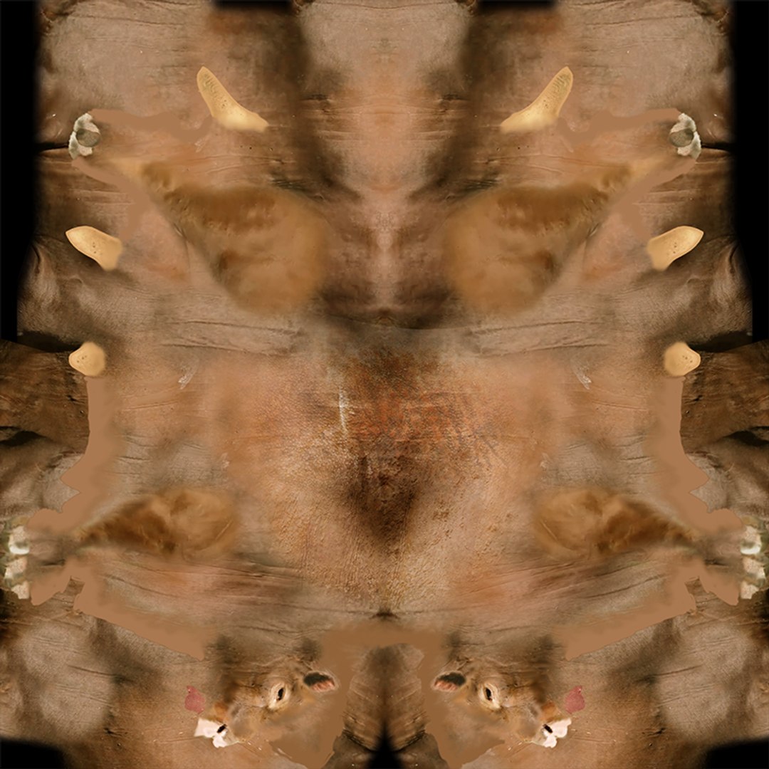RED ANGUS Rigged L2083 3D model https://p.turbosquid.com/ts-thumb/VM/GgruDN/g3/uv29/png/1700605723/1920x1080/fit_q87/c23c7231b897c471c016276dd45208277f51f676/uv29.jpg