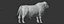 RED ANGUS Rigged L2083