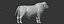 RED ANGUS Rigged L2083