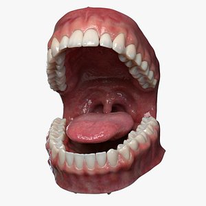 3D Mouth Rigged 3D