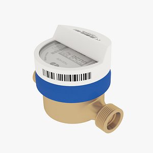 Water Meter with Remote Reader