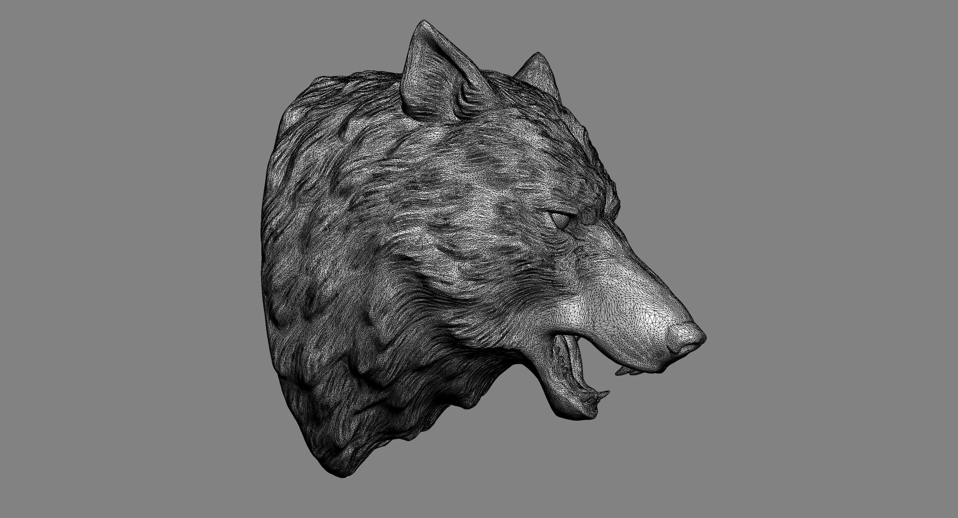 max wolf head sculpture https://p.turbosquid.com/ts-thumb/VM/Zeuojm/gJ9EJnL1/wolfhead3dmodelwire03/jpg/1478690965/1920x1080/fit_q87/3cc394ca328d898fb4385aec1c937028826dfc21/wolfhead3dmodelwire03.jpg