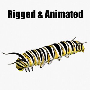 animated caterpillar 3D