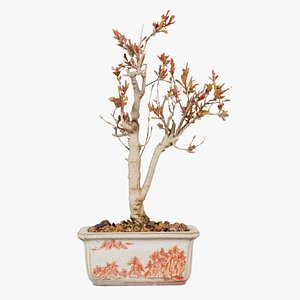 Punica Granatum Bonsai Tree Remastered 3D model