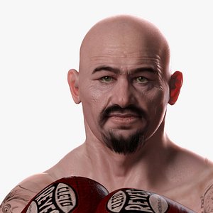 3d realistic boxer