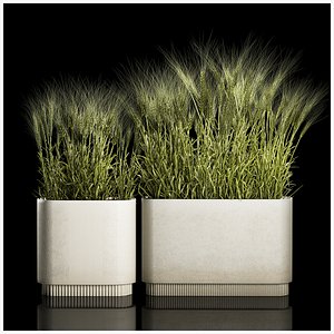 3D Set Of Green Ears Of Wheat In A Pot 1201 model