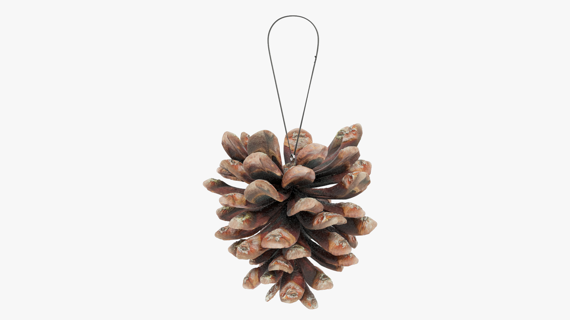 3D Cone Christmas Tree Toys Collection V1 https://p.turbosquid.com/ts-thumb/VM/nvbqIi/It/cctt1render/jpg/1700863799/1920x1080/turn_fit_q99/2d6a4d99281b6eb325cd70a3a131381a4c47ef01/cctt1render-1.jpg