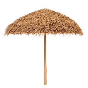 Thatched Bamboo shelter beach canopy