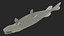 Pike Fish Rigged for Maya
