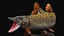 Pike Fish Rigged for Maya