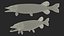 Pike Fish Rigged for Maya
