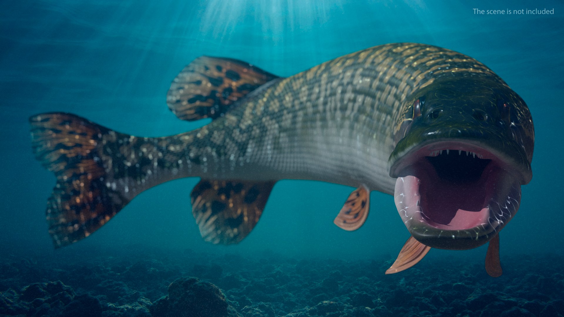 3D pike fish rigged model https://p.turbosquid.com/ts-thumb/VN/MSjYMe/uthu82Ts/pikefishriggedmb3dmodel005/jpg/1593686876/1920x1080/fit_q87/7927c52171fc350effa46cdbf0bd3acb0138ff0d/pikefishriggedmb3dmodel005.jpg