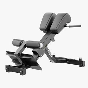 3D Technogym Lower Back Bench Pure