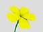 春の花