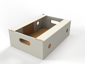 Cardboard Retail Display Tray for Product Packaging Merchandise 3D