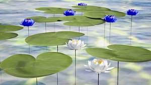 Aquatic Plants Pack