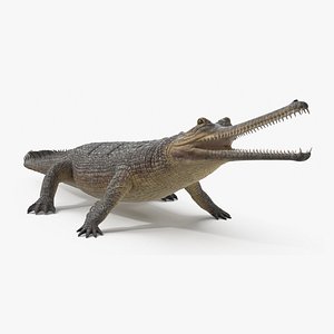 Download Free & Premium Animal Crocodile 3D Models | TurboSquid