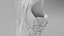 Nike Shoe Airmax 09 3D model