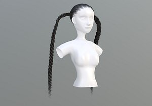 Black Braids Hairstyle model