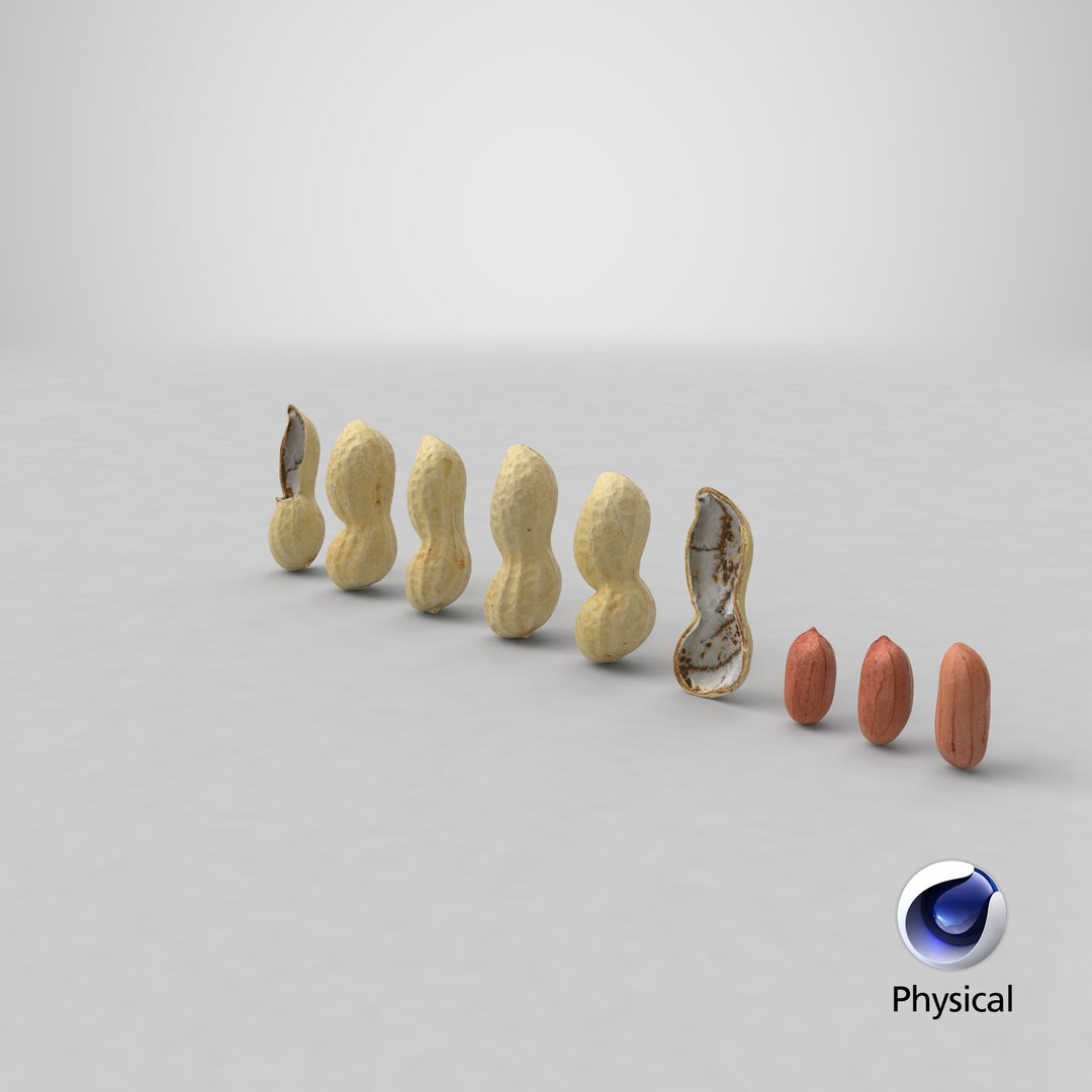 Peanut Shell Collection 3 3D model https://p.turbosquid.com/ts-thumb/VO/CwQYlc/3s/stemcell_cinema_4d_physical_render/png/1664355145/1920x1080/fit_q87/fd1db4affde84fb3c69eaad747ef72576b5c461e/stemcell_cinema_4d_physical_render.jpg