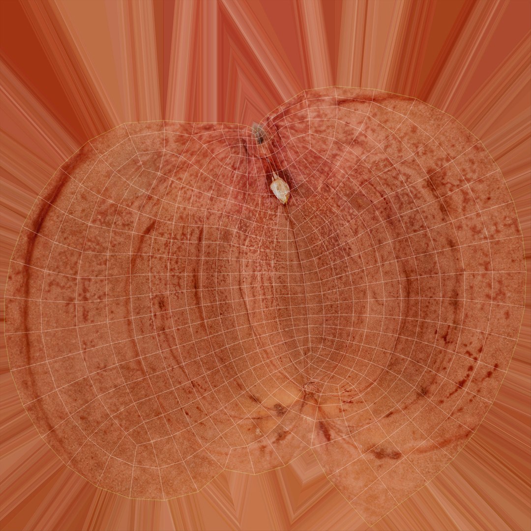 Peanut Shell Collection 3 3D model https://p.turbosquid.com/ts-thumb/VO/CwQYlc/9Z/peanutkernel_2_d0004/jpg/1662400047/1920x1080/fit_q87/68d5684cf2bef1e456ba84fffa0f558355ae8318/peanutkernel_2_d0004.jpg