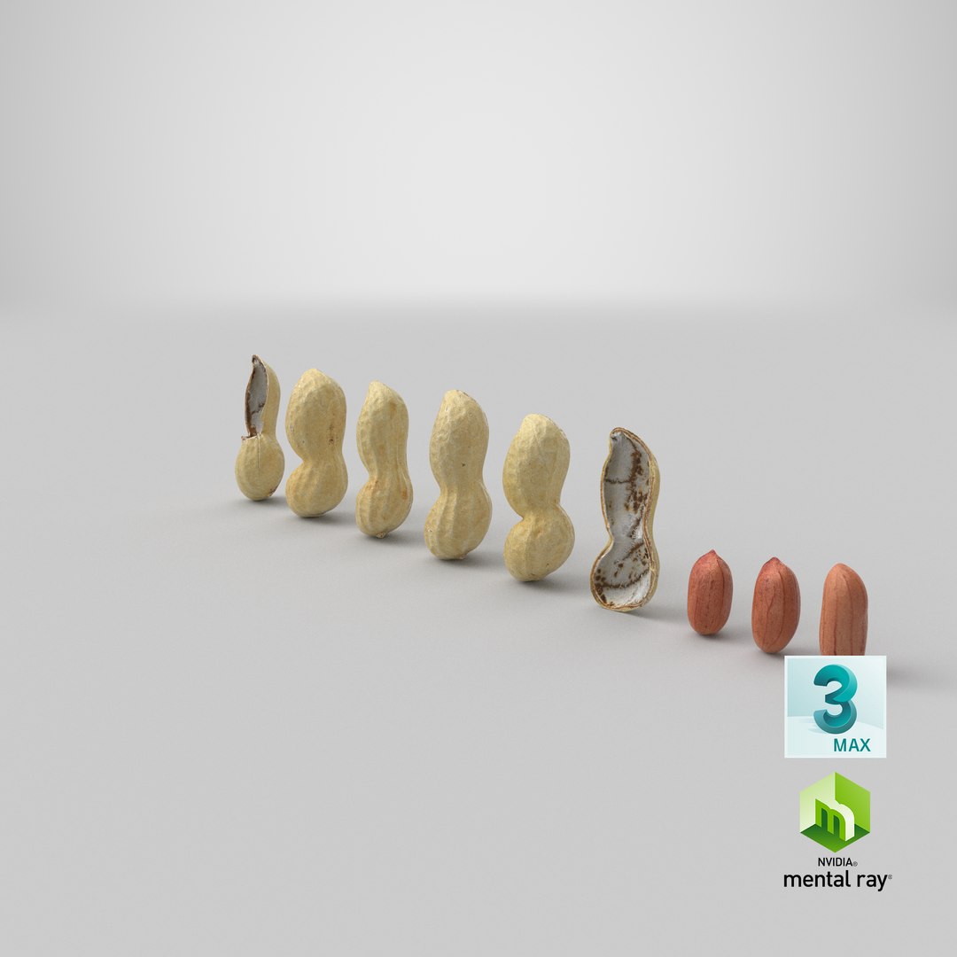 Peanut Shell Collection 3 3D model https://p.turbosquid.com/ts-thumb/VO/CwQYlc/RF/stemcell_max_mental_ray_render/png/1664355152/1920x1080/fit_q87/5ba83cea71b612111fb1c9ce0ed44ef53c322705/stemcell_max_mental_ray_render.jpg