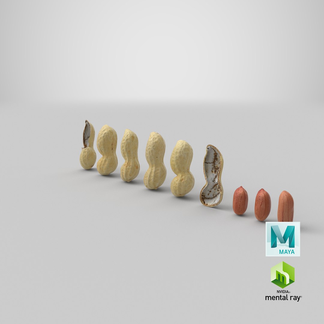 Peanut Shell Collection 3 3D model https://p.turbosquid.com/ts-thumb/VO/CwQYlc/SC/stemcell_maya_mental_ray_render/png/1664355157/1920x1080/fit_q87/26e3f44e6d03c7c8aa6c74bd99c9d0a446495635/stemcell_maya_mental_ray_render.jpg