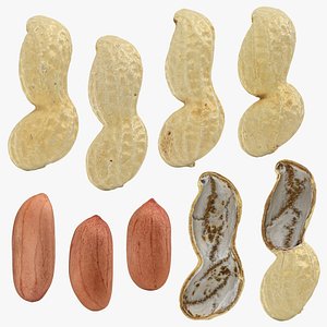 Peanut Shell Collection 3