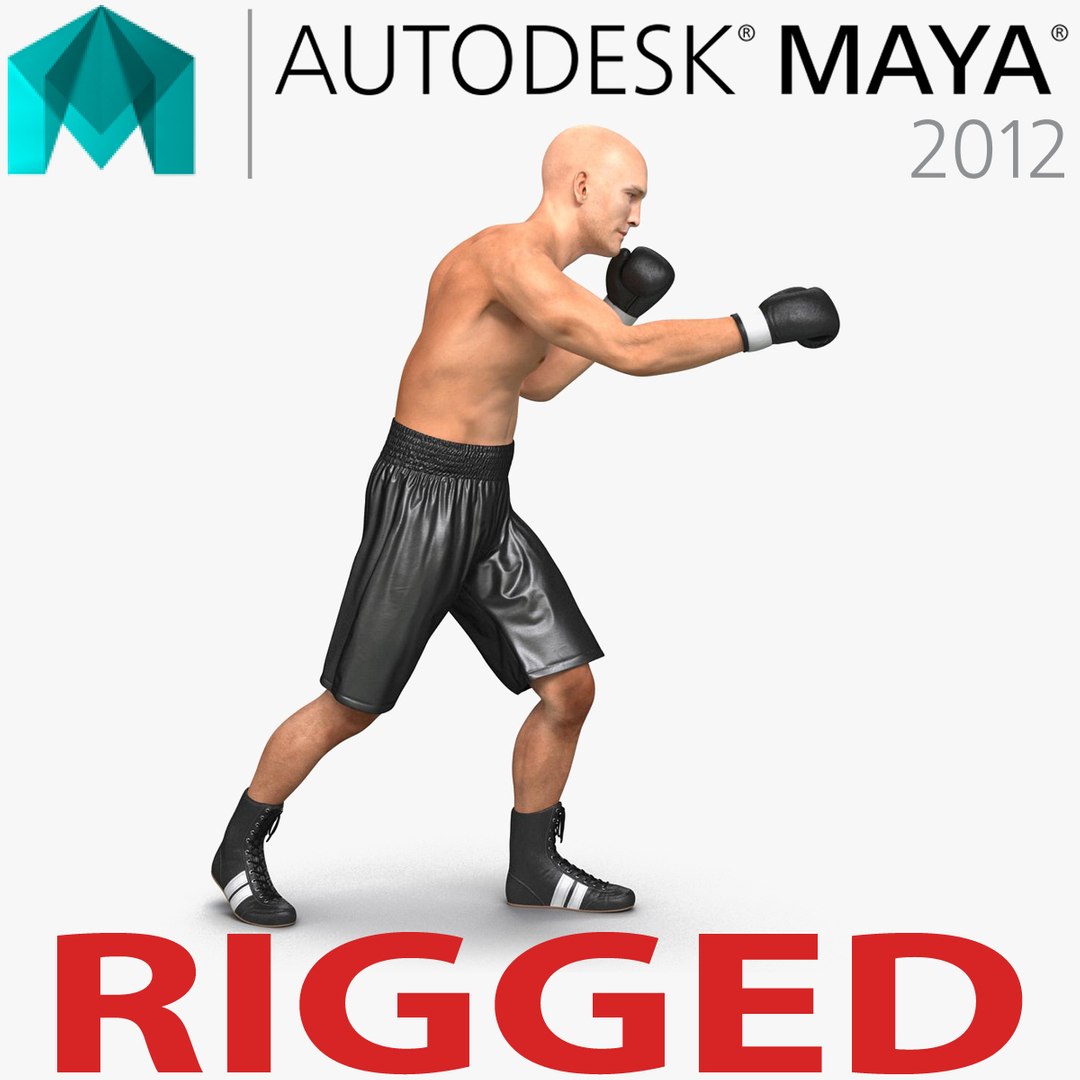 Adult Boxer Man 2 Rigged for Maya 3D model preview