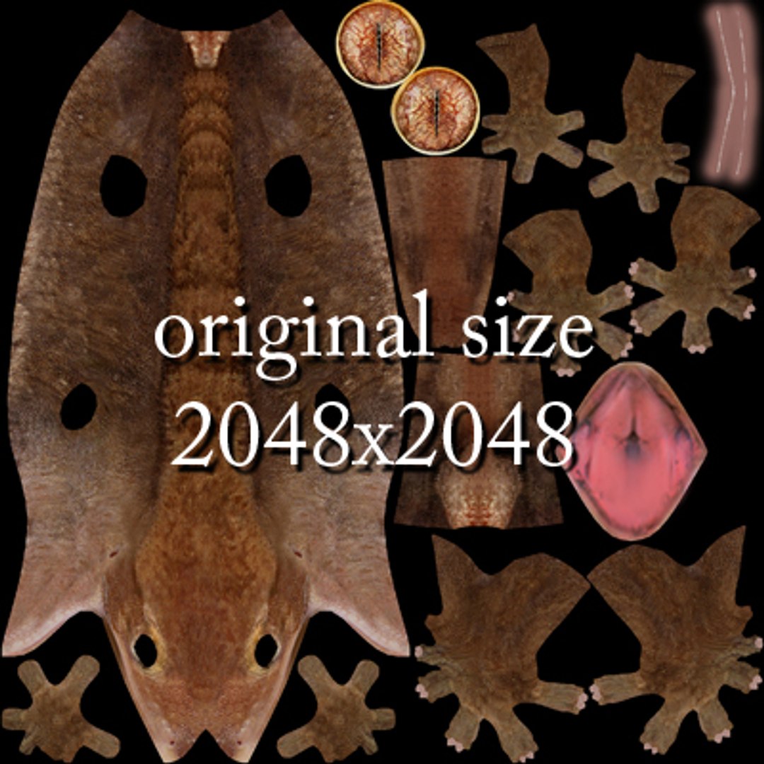 gecko lizard 3d max