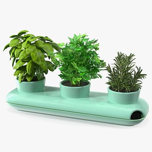 Herbs in Trio Stoneware Pot Sagaform Green 3D model