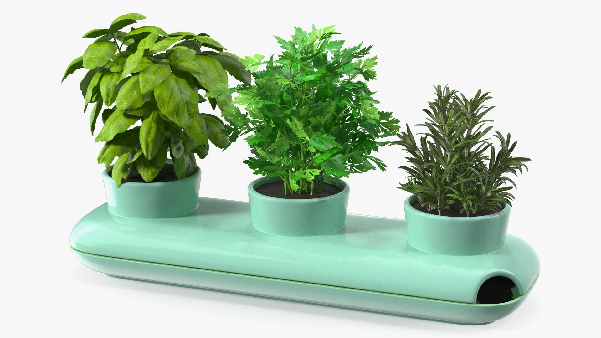 Herbs in Trio Stoneware Pot Sagaform Green 3D model preview