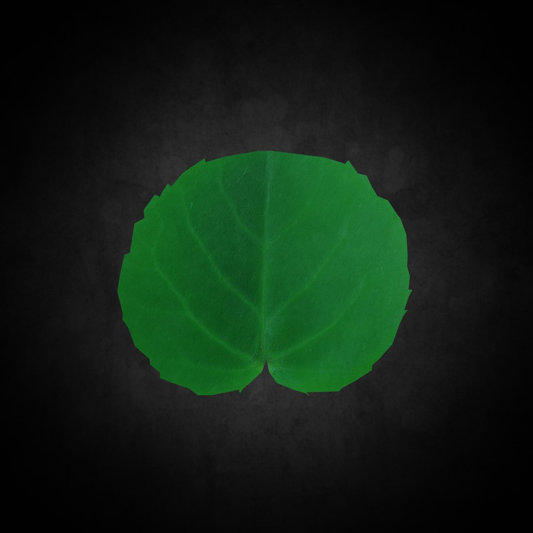 3D Low Poly Leaf 077 model https://p.turbosquid.com/ts-thumb/VO/s3481v/0u/05/png/1644428841/1920x1080/fit_q87/e298a386919c1fde1e2eca468546e1d2a2b65fd6/05.jpg