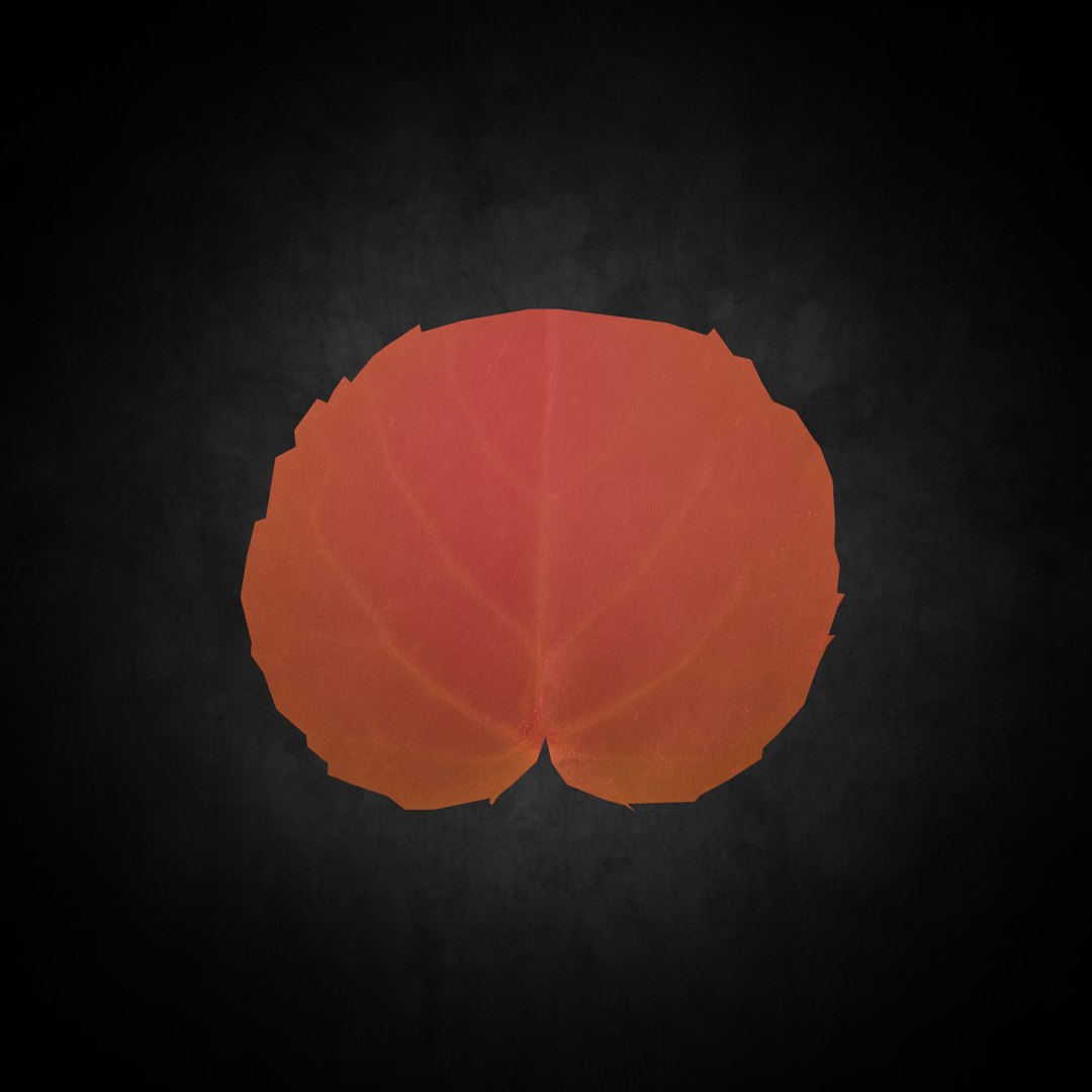 3D Low Poly Leaf 077 model https://p.turbosquid.com/ts-thumb/VO/s3481v/aM/04/png/1644428837/1920x1080/fit_q87/a14c0c9331c3f86748dc9c3663d82092e44cf276/04.jpg