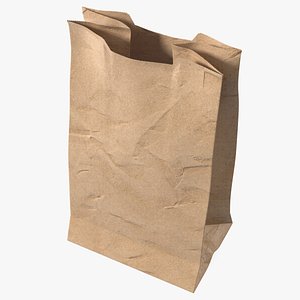 Paper Grocery Bag 3D model