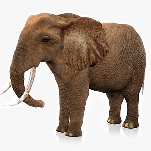 3D African Elephant RIGGED L2266