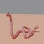 Parasitic predatory worm or monster