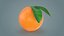 Arancio intero con collezione di foglie