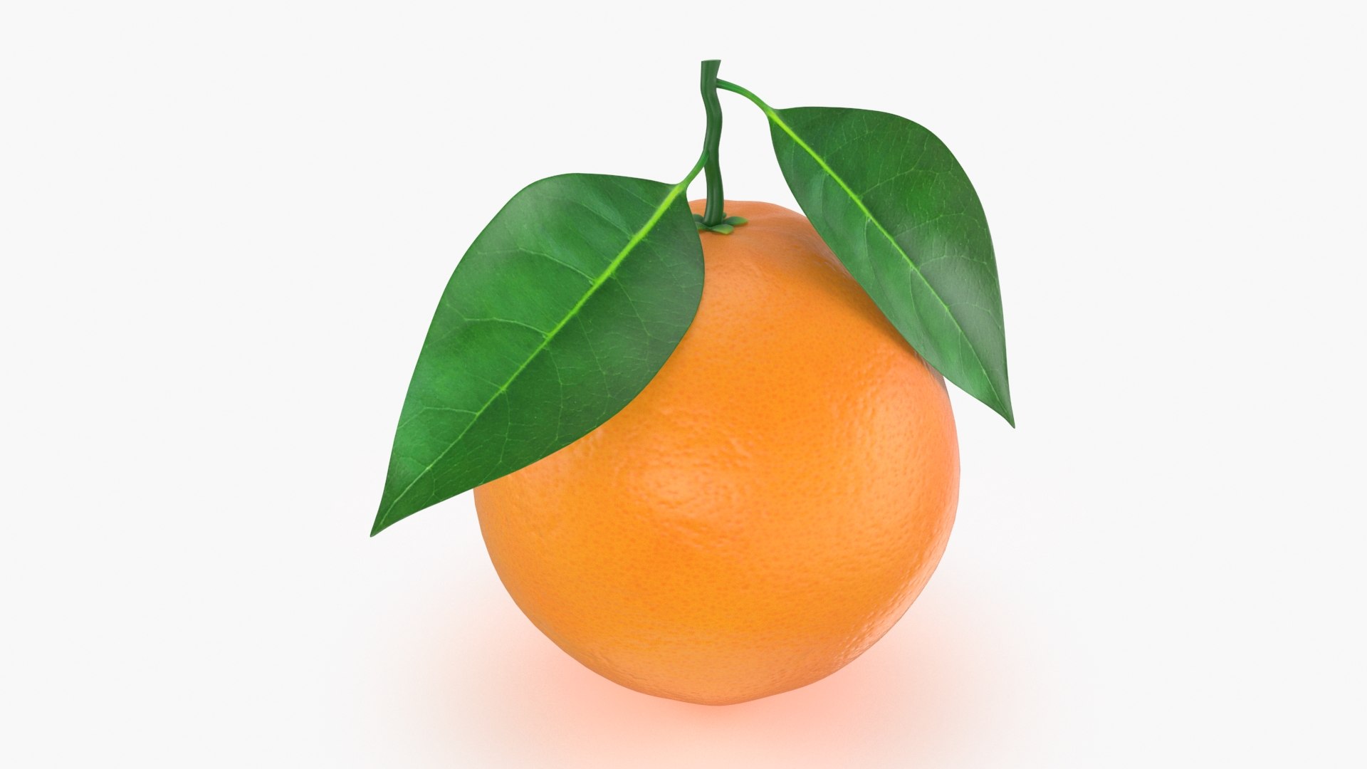 Whole Orange with Leaf Collection 3D https://p.turbosquid.com/ts-thumb/VP/FUBXse/CZ/orangewholev4_b0002/jpg/1670180393/1920x1080/fit_q87/79391a70183689015c4b5547573f54902dd150a8/orangewholev4_b0002.jpg