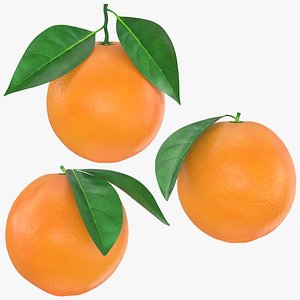 Whole Orange with Leaf Collection