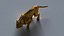 Tigre lowpoly modelo de impresión 3D Low-poly modelo 3D