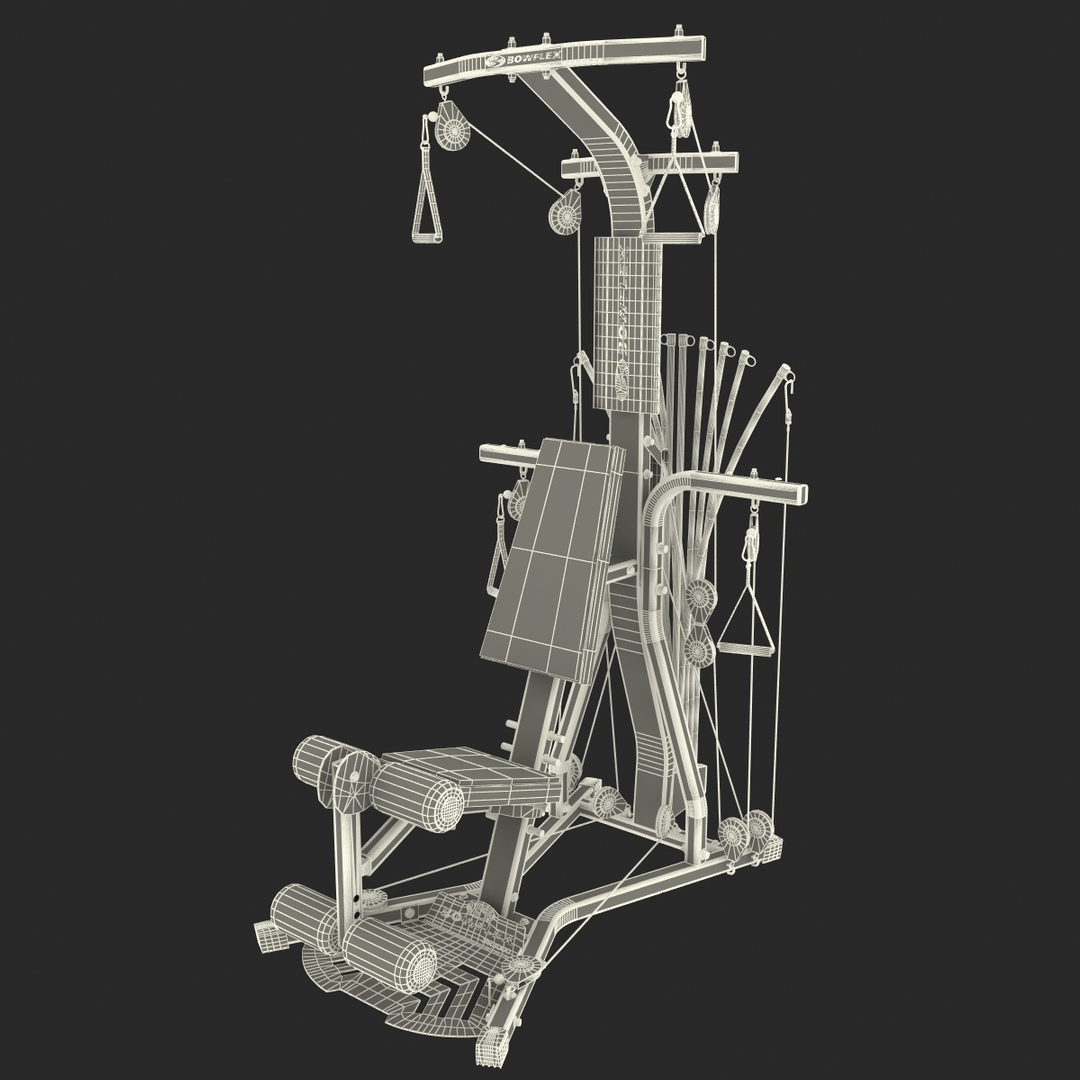 home gym bowflex ultimate 3ds