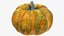 Colección Calabazas V4