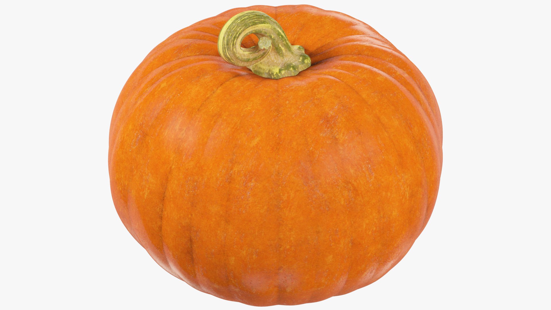3D Pumpkins Collection V4 https://p.turbosquid.com/ts-thumb/VP/RH281C/5G/p3_004_007/png/1701127587/1920x1080/fit_q87/5cb0058787024ca163a3e9e5c5e5457dba40c69c/p3_004_007.jpg