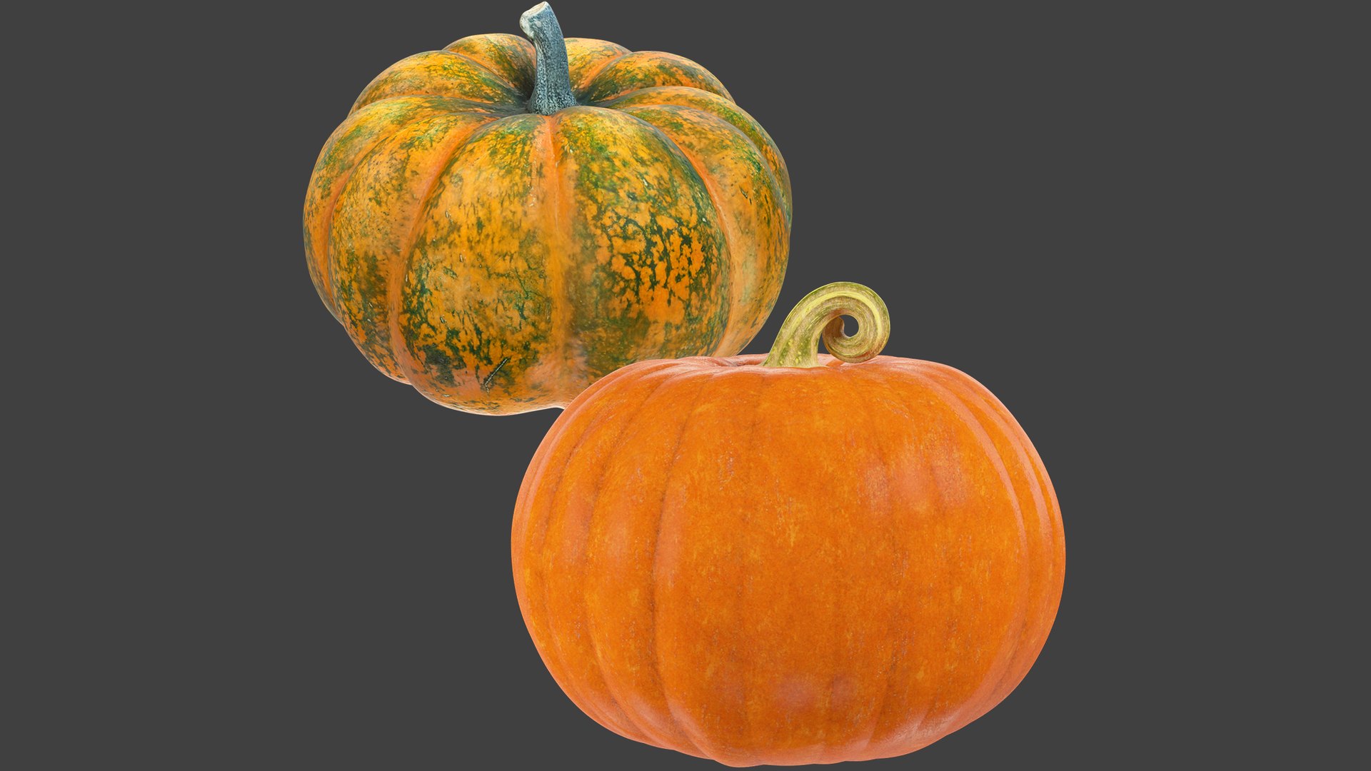 3D Pumpkins Collection V4 https://p.turbosquid.com/ts-thumb/VP/RH281C/DL/pc4_003/png/1701127451/1920x1080/fit_q87/ef1060e6b5c616e91a661ad8a76d72103f11786a/pc4_003.jpg
